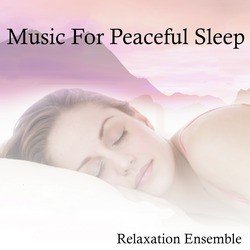 Relaxation Ensemble