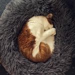 The Ever-Increasing Quality of the Night