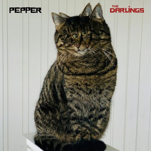 Pepper_poster_image