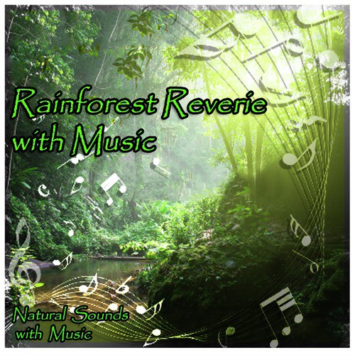 Rainforest Reverie with Relaxation Music
