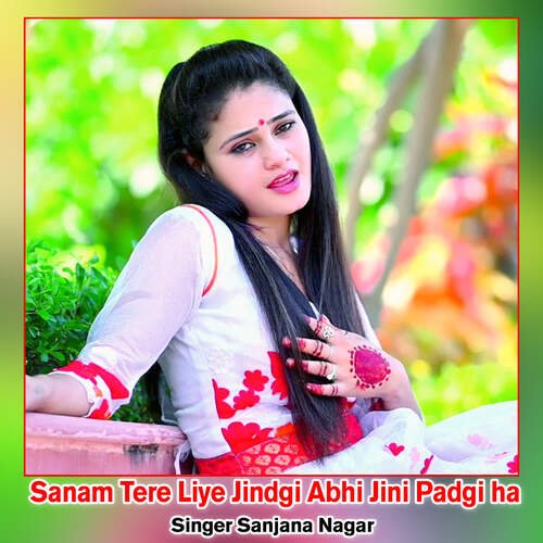 Sanam Tere Liye Jindgi Abhi Jini Padgi ha