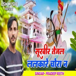 Surveer Tejal Lalkare Chora N