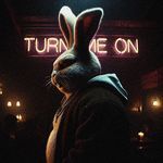 TURN ME ON (SLOWED) artwork