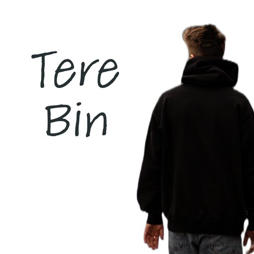 Tere Bin_poster_image