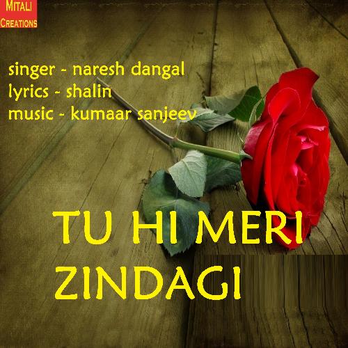 Tu Hi Meri Zindagi