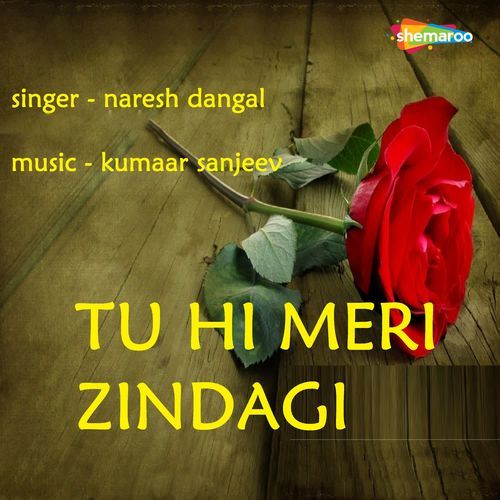 Tu Hi Meri Zindagi