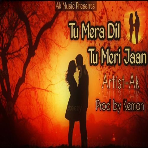 Tu Mera Dil Tu Meri Jaan