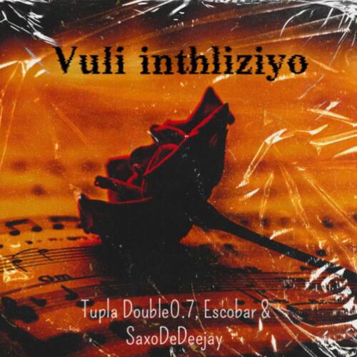 Vuli inthliziyo_poster_image