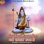 Bordiya Mahadev Ki Lila Nayari