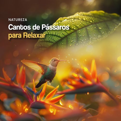 Cantos de Pássaros para Relaxar