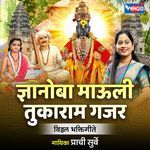 Gnyanoba Mauli Tukaram Gajar