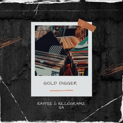 Gold digger_poster_image