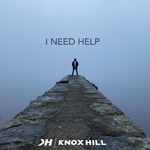 I Need Help_poster_image