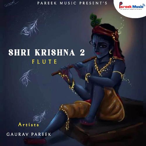 Krishna Flute 2