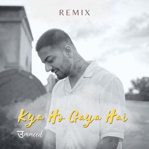 Kya Ho Gaya Hai (Remix)