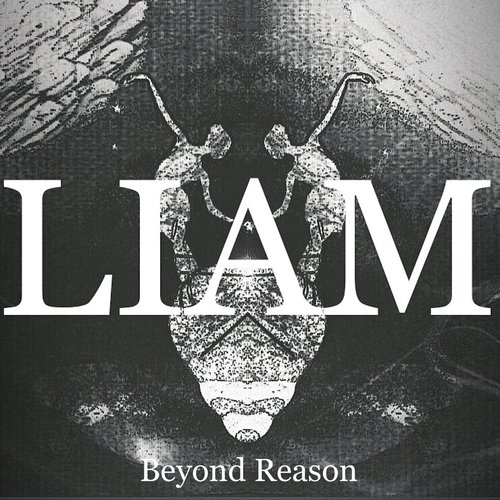 Liam cover art