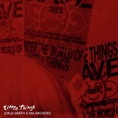 Little Things (Nia Archives Remix)_poster_image