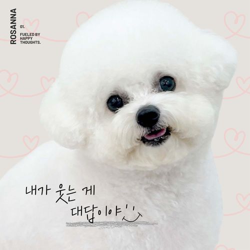 내가 웃는 게 대답이야 (Inst.)