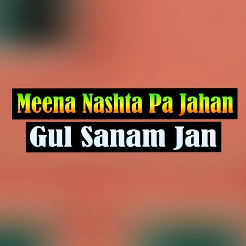 Meena Nashta Pa Jahan