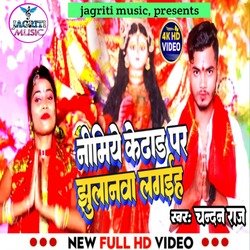 Nimiye Ke Dadh Pe Jhoolanwa (Aashu Film)