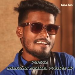Pacha Dhavani Semma Figure Ni