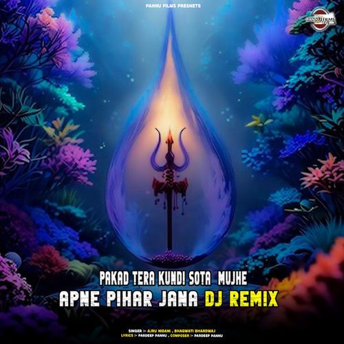 Pakad Tera Kundi Sota Mujhe Apne Pihar Jana DJ