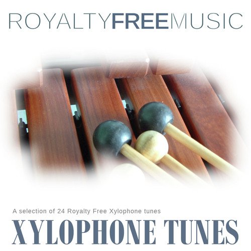 Xylophone and Bass Guitar on Jazz Drums