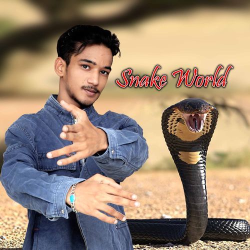 Snake World