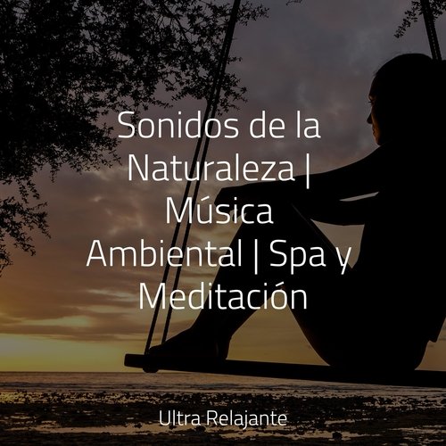 Sonidos de la Naturaleza | Música Ambiental | Spa y Meditación_poster_image