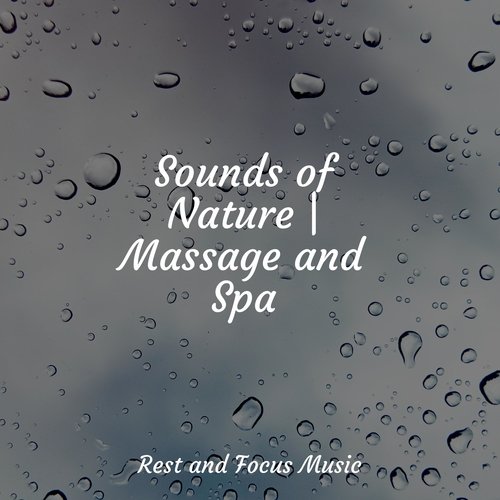 Chakra Shaman Healing cover art