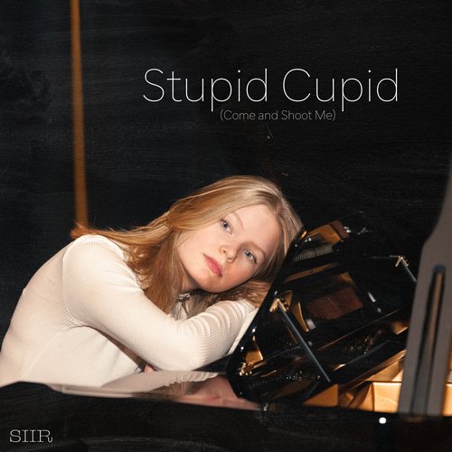 Stupid Cupid (Come and Shoot Me)_poster_image