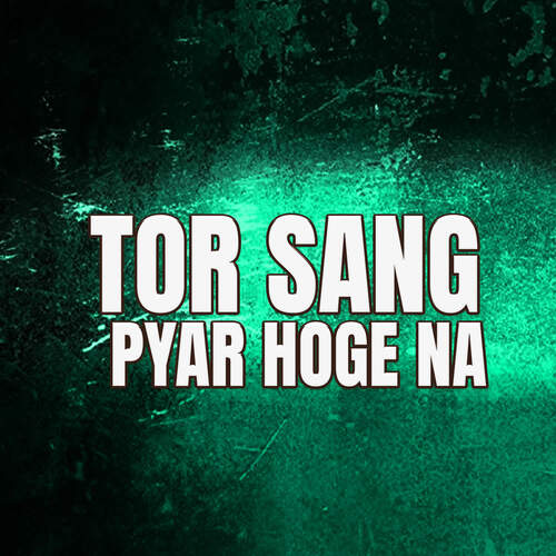 TOR SANG PYAR HOGE NA