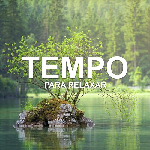 Musicas Calmas cover art