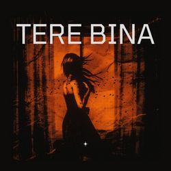 Tere Bina-Fi5ceAxpUlk