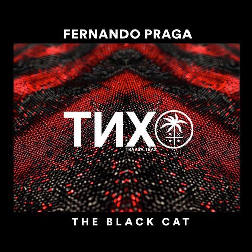 The Black Cat