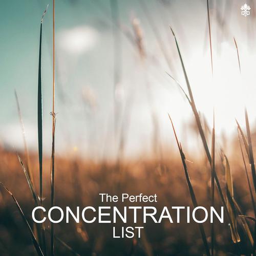 The Perfect Concentration List_poster_image