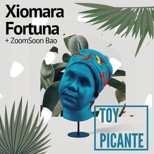 Toy Picante_poster_image