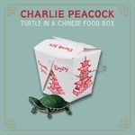 Turtle In A Chinese Food Box