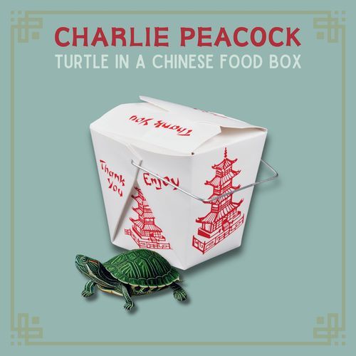 Turtle In A Chinese Food Box