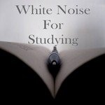 White Noise for Studying
