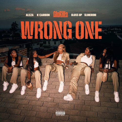 Wrong One_poster_image