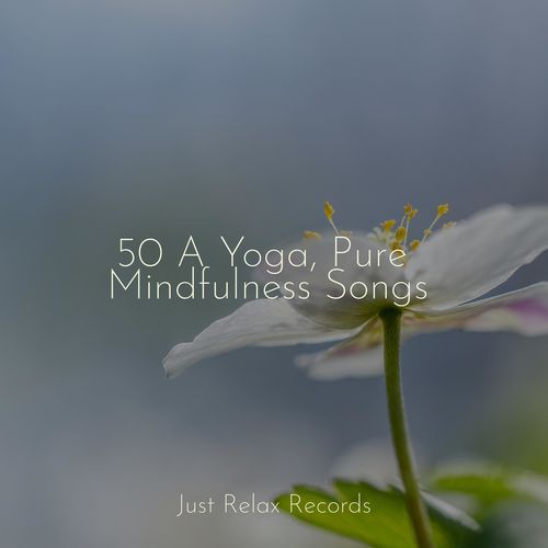 50 A Yoga, Pure Mindfulness Songs_poster_image