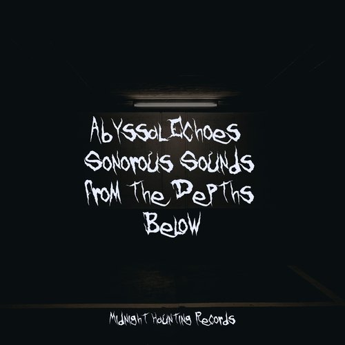 Abyssal Echoes: Sonorous Sounds from the Depths Below_poster_image