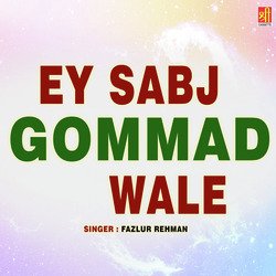 Aye Sabz Gumbad Wale-KgZfXiEIRUU