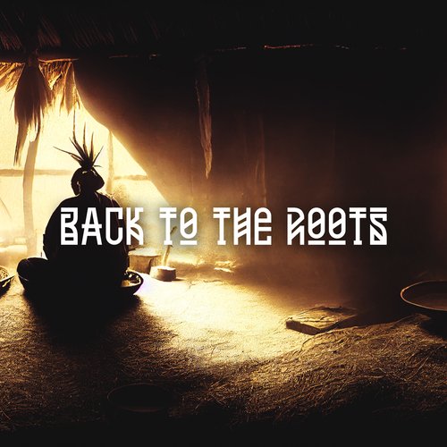 Back to Roots cover art