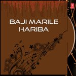 Baji Marile Hariba Vol-1,2