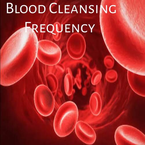 Blood Cleansing Frequency Track 2