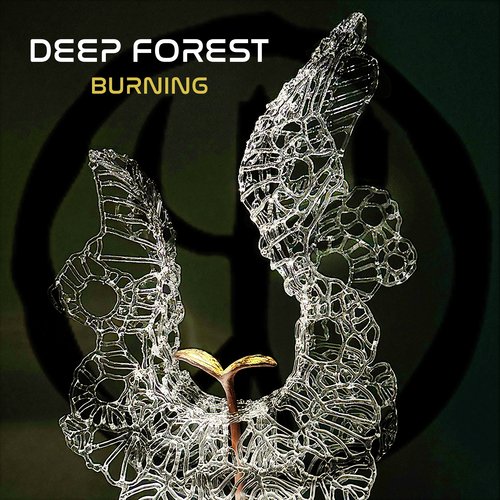 Deep Fakear cover art