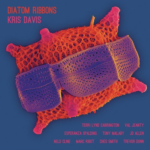 Diatom Ribbons_poster_image