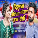 Dilwa Torela Tohara Hak Deti